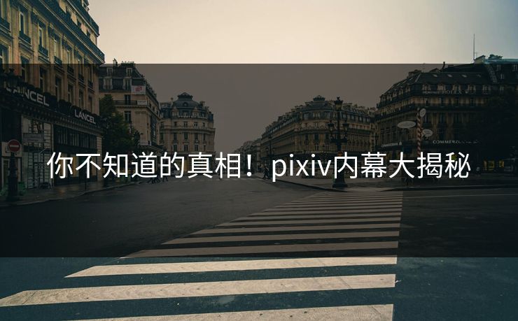 你不知道的真相！pixiv内幕大揭秘
