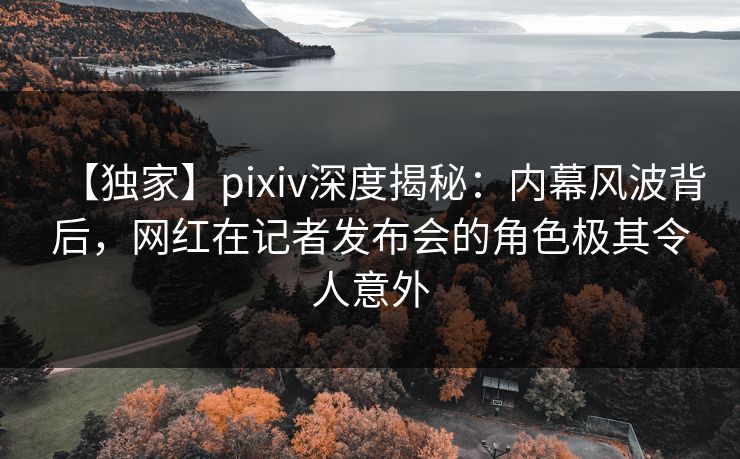 【独家】pixiv深度揭秘：内幕风波背后，网红在记者发布会的角色极其令人意外