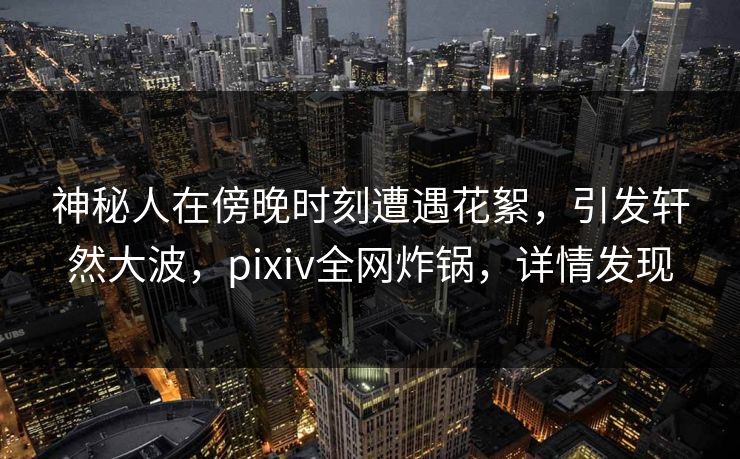 神秘人在傍晚时刻遭遇花絮，引发轩然大波，pixiv全网炸锅，详情发现