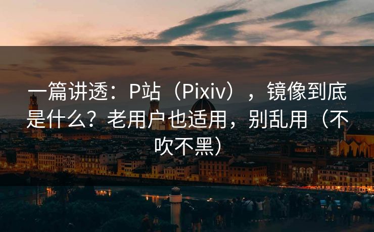 一篇讲透：P站（Pixiv），镜像到底是什么？老用户也适用，别乱用（不吹不黑）